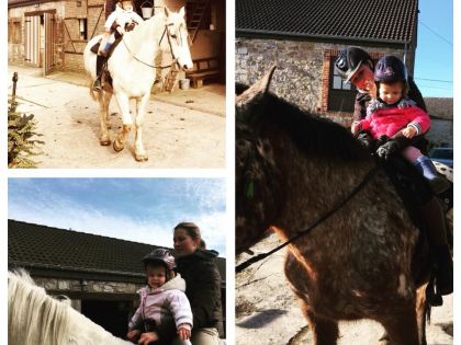 vakantiehuis met paardrijden in Durbuy Ardennen