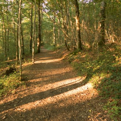 Wandelen rond vakantiehuizen Faro Durbuy